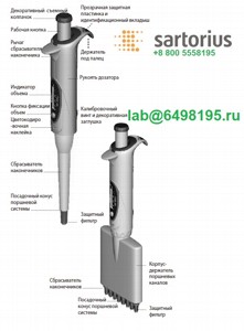 725240 ������� Sartorius Biohit mLINE 12-��������� 30-300 ���